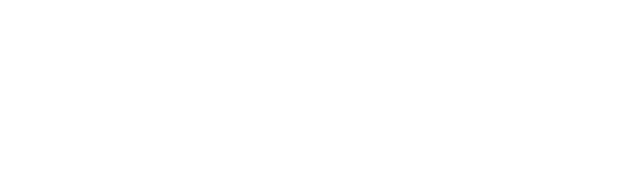 Fuuse